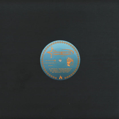 Various - Fire in the home (VINYL) | Mint (M) Mint (M)--