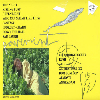 Pamela_and her sons - Hurt Plaza (VINYL) | Mint (M) Mint (M)--