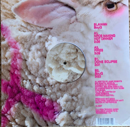 Blawan - BouQ (VINYL) | Mint (M) Mint (M)--