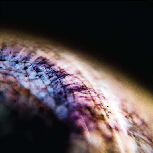 Emptyset - Skin (12" VINYL) |--