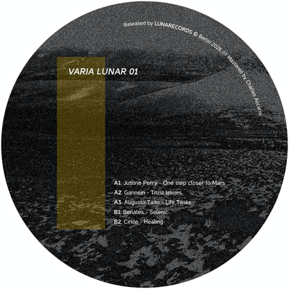 Various - VARIA LUNAR 01 (VINYL) | Mint (M) Mint (M)--