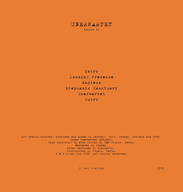 Unerwartet - Endless EP (VINYL) | Mint (M) Mint (M)--