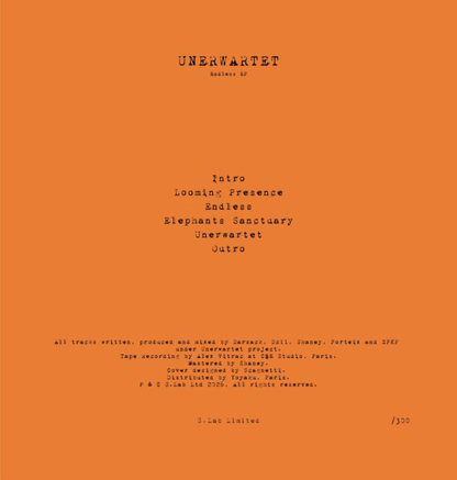 Unerwartet - Endless EP (VINYL) | Mint (M) Mint (M)--