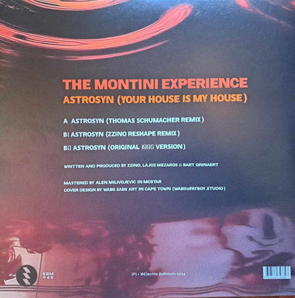 The Montini Experience - Astrosyn (Your House Is My House)(VINYL) | Mint (M) Mint (M)--