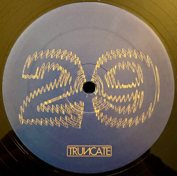 Truncate - Forgotten (VINYL) | Mint (M) Generic--