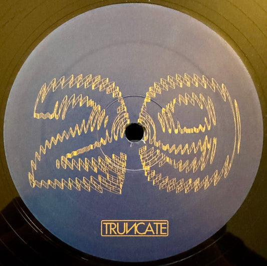 Truncate - Forgotten (VINYL) | Mint (M) Generic--