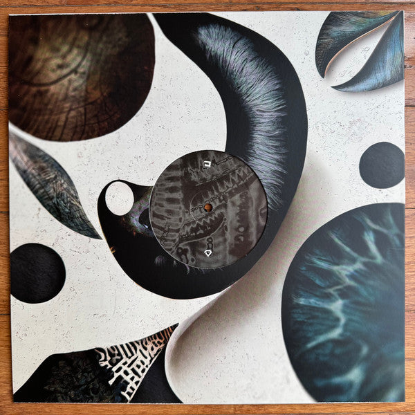 The Worm - On The Move (VINYL) | Mint (M) Mint (M)--