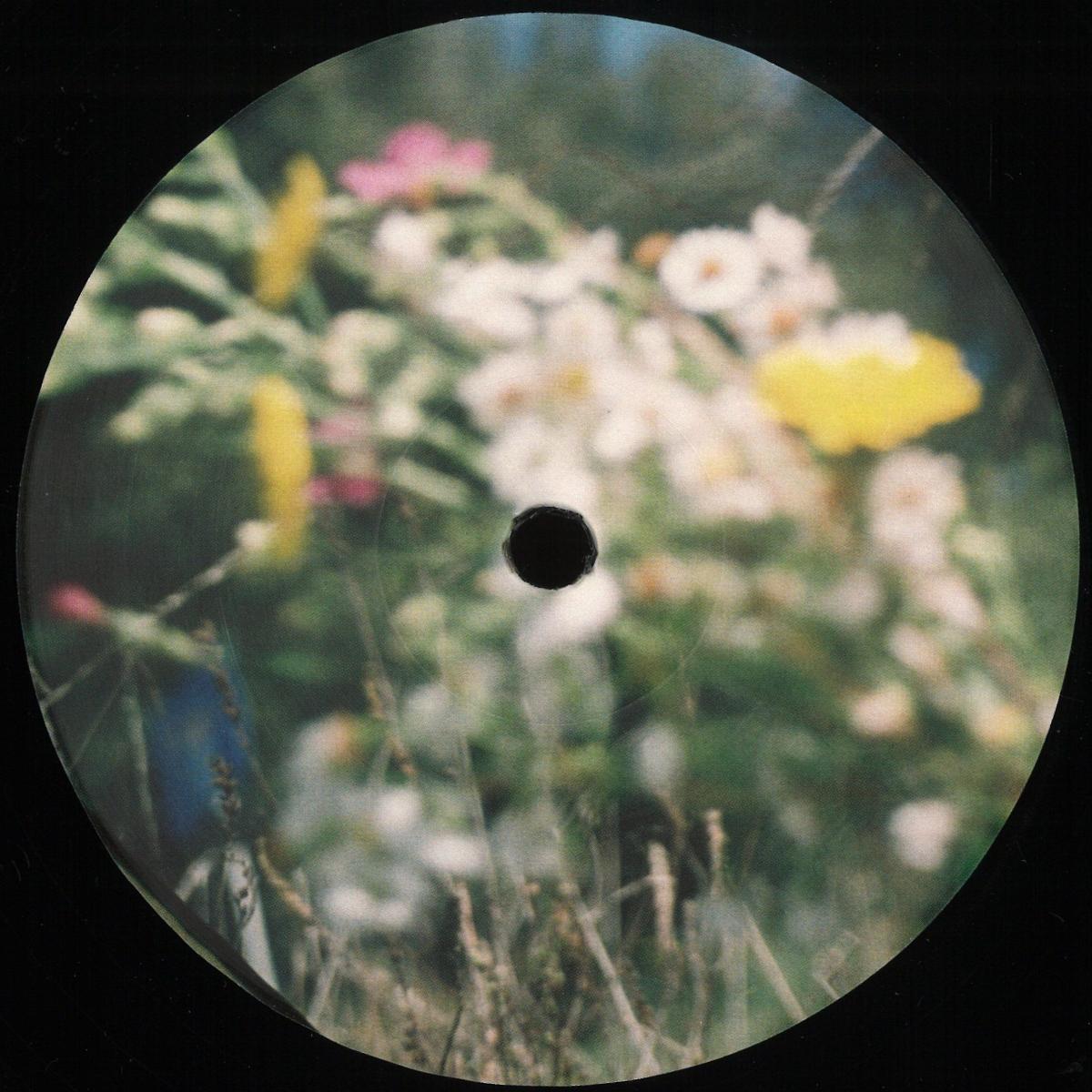 Transcendental Amor Organization - TAO (VINYL 12" Modern Obscure Music MOMXX03) | NEW Mint (M) Mint (M)--