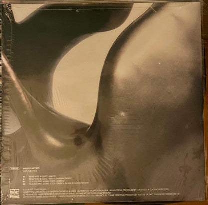 Various - Coalescence (VINYL 12") |--