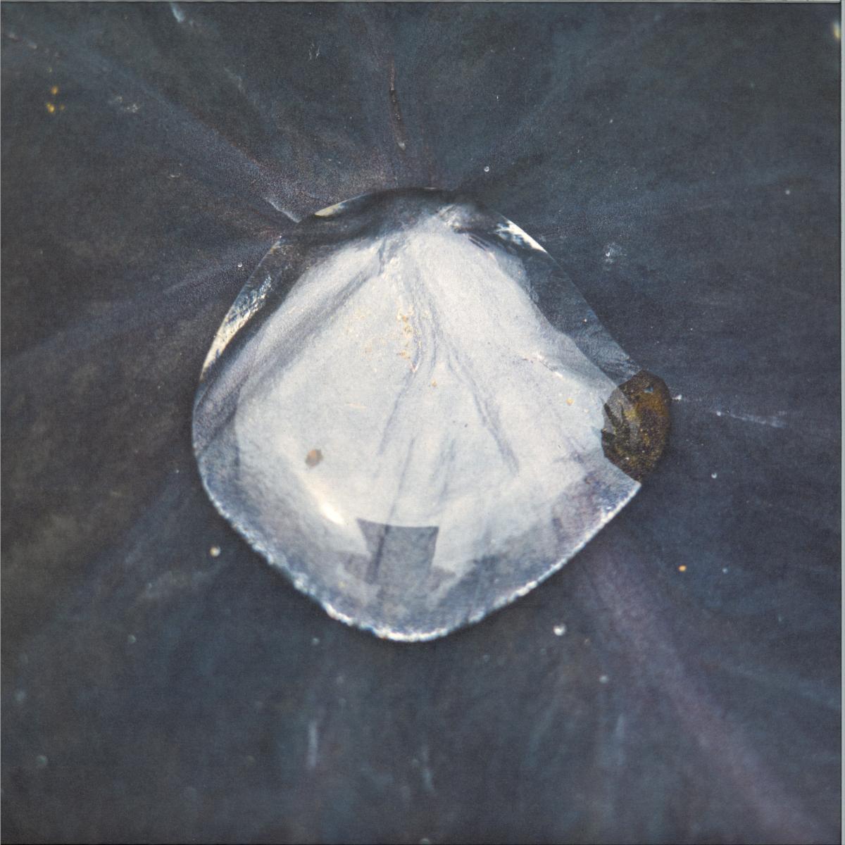 Konduku - Sarmal (VINYL 12" Hayal HYL001) | NEW Mint (M) Mint (M)--