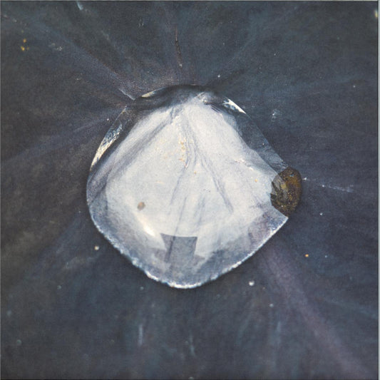 Konduku - Sarmal (VINYL 12" Hayal HYL001) | NEW Mint (M) Mint (M)--