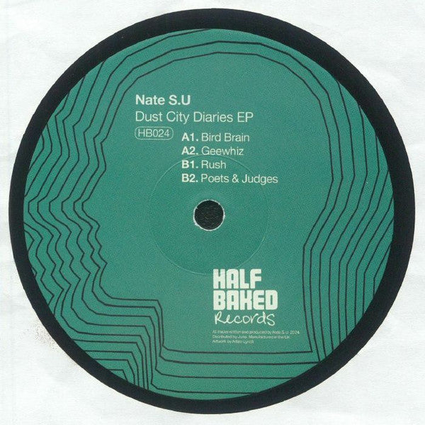 Dust City Diaries EP (VINYL) | Mint (M) Generic--