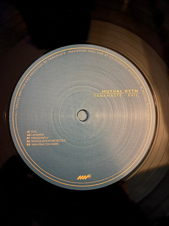 Evil (VINYL) | Mint (M) Mint (M)--