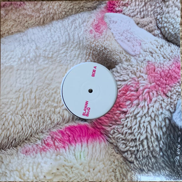 Blawan - BouQ (VINYL) | Mint (M) Mint (M)--