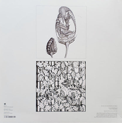 Hodge (3) - Shadows In Blue (2XVINYL) | Mint (M) Mint (M)--
