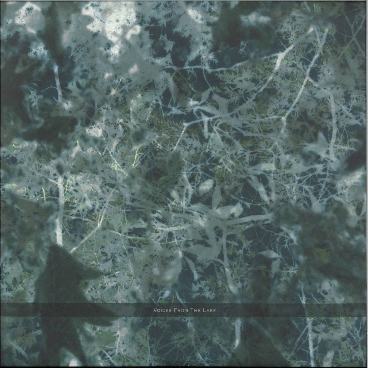 Voices From The Lake - Voices From The Lake (2023 Edition) (VINYL 4x12" Spazio Disponibile SPAZIO025 2026) | NEW Mint (M) Mint (M)--