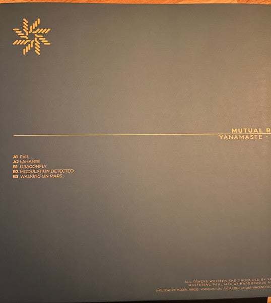 Evil (VINYL) | Mint (M) Mint (M)--
