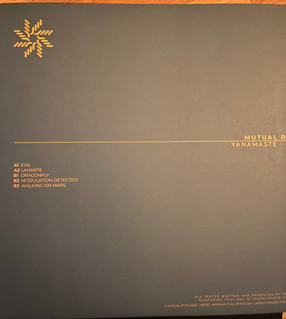 Evil (VINYL) | Mint (M) Mint (M)--
