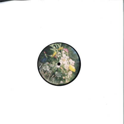 Transcendental Amor Organization - TAO (VINYL 12" Modern Obscure Music MOMXX03) | NEW Mint (M) Mint (M)--