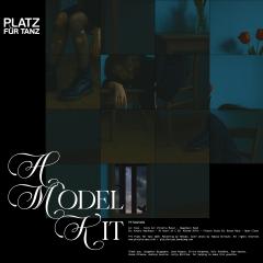 A Model Kit (VINYL 12") | Mint (M) Mint (M)--