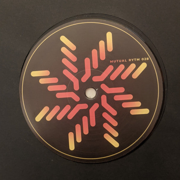 Night Echoes (VINYL) |--