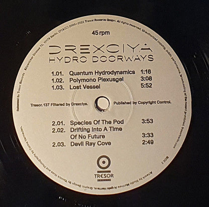 Hydro Doorways (VINYL) |--