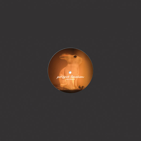 Various - Perfect Collection: Spring | Near Mint (NM) Generic--