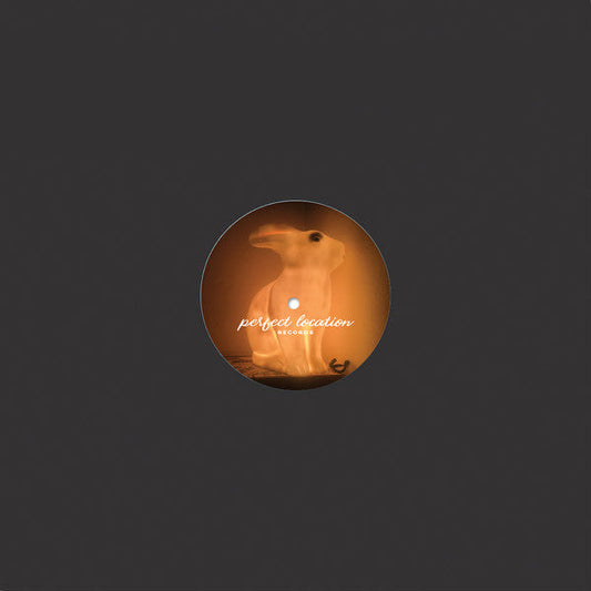 Various - Perfect Collection: Spring | Near Mint (NM) Generic--