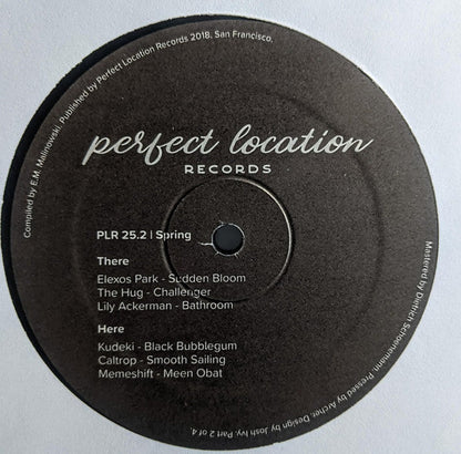 Various - Perfect Collection: Spring | Near Mint (NM) Generic--