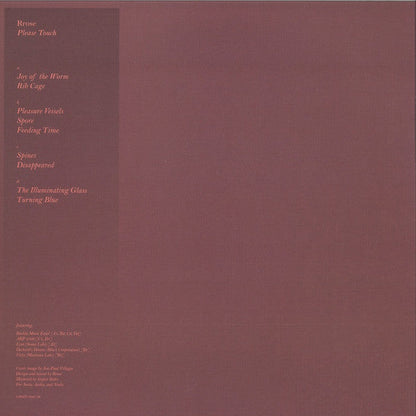 Rrose - Please Touch (12") | Near Mint (NM) Generic--