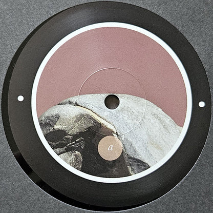 Rrose - Please Touch (12") | Near Mint (NM) Generic--