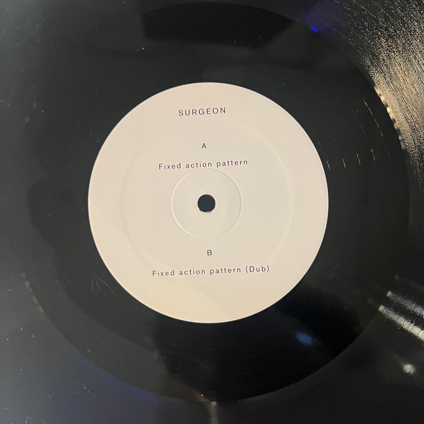 Surgeon - Fixed Action Pattern | Near Mint (NM) Near Mint (NM)--