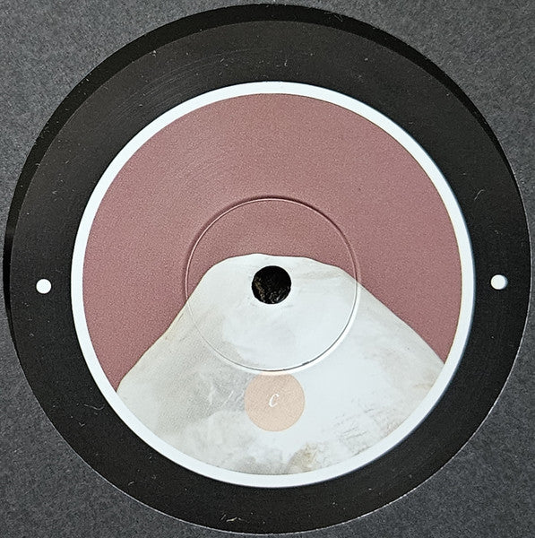 Rrose - Please Touch (12") | Near Mint (NM) Near Mint (NM)--