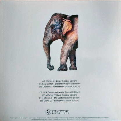 Various - Steyoyoke 200 | Mint (M) Mint (M)--
