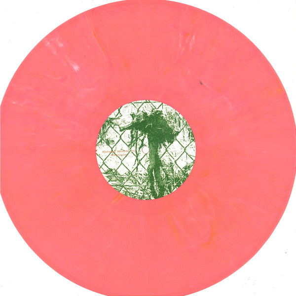 Echologist - Activation | Mint (M) Mint (M)--