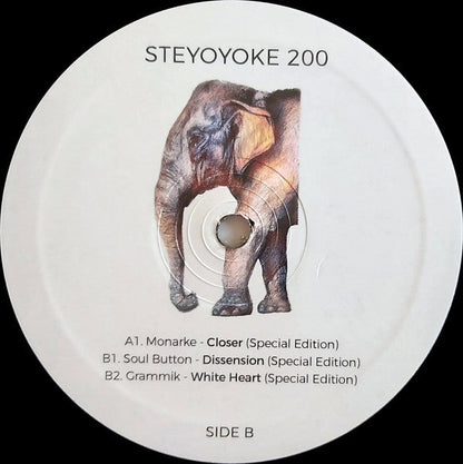 Various - Steyoyoke 200 | Mint (M) Mint (M)--