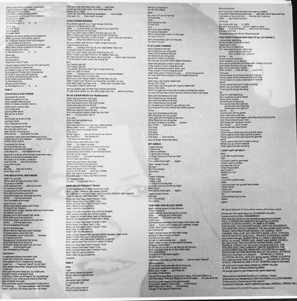 Terry Allen - Lubbock (On Everything) | Mint (M) Mint (M)-