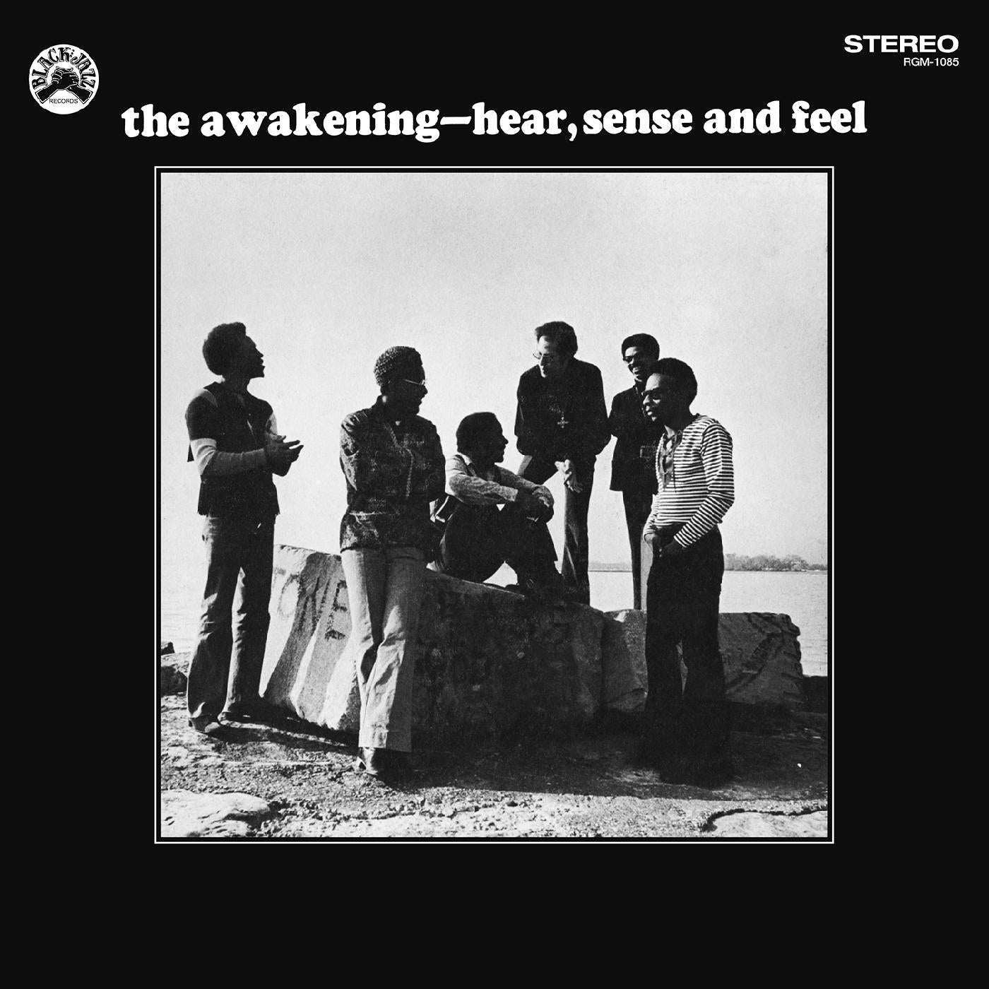 The Awakening - Hear, Sense and Feel (Remastered Vinyl Edition) |-