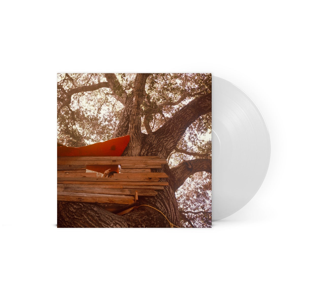 The Backseat Lovers - Waiting To Spill (Indie Exclusive, Clear Vinyl) | Mint (M) Mint (M)-