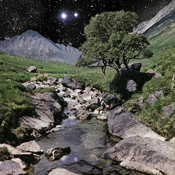 The Beta Band - The Beta Band (Deluxe Edition)(VINYL) | Mint (M) Mint (M)-