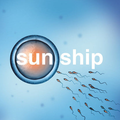 The Brian Jonestown Massacre - The Sun Ship | Mint (M) Mint (M)-