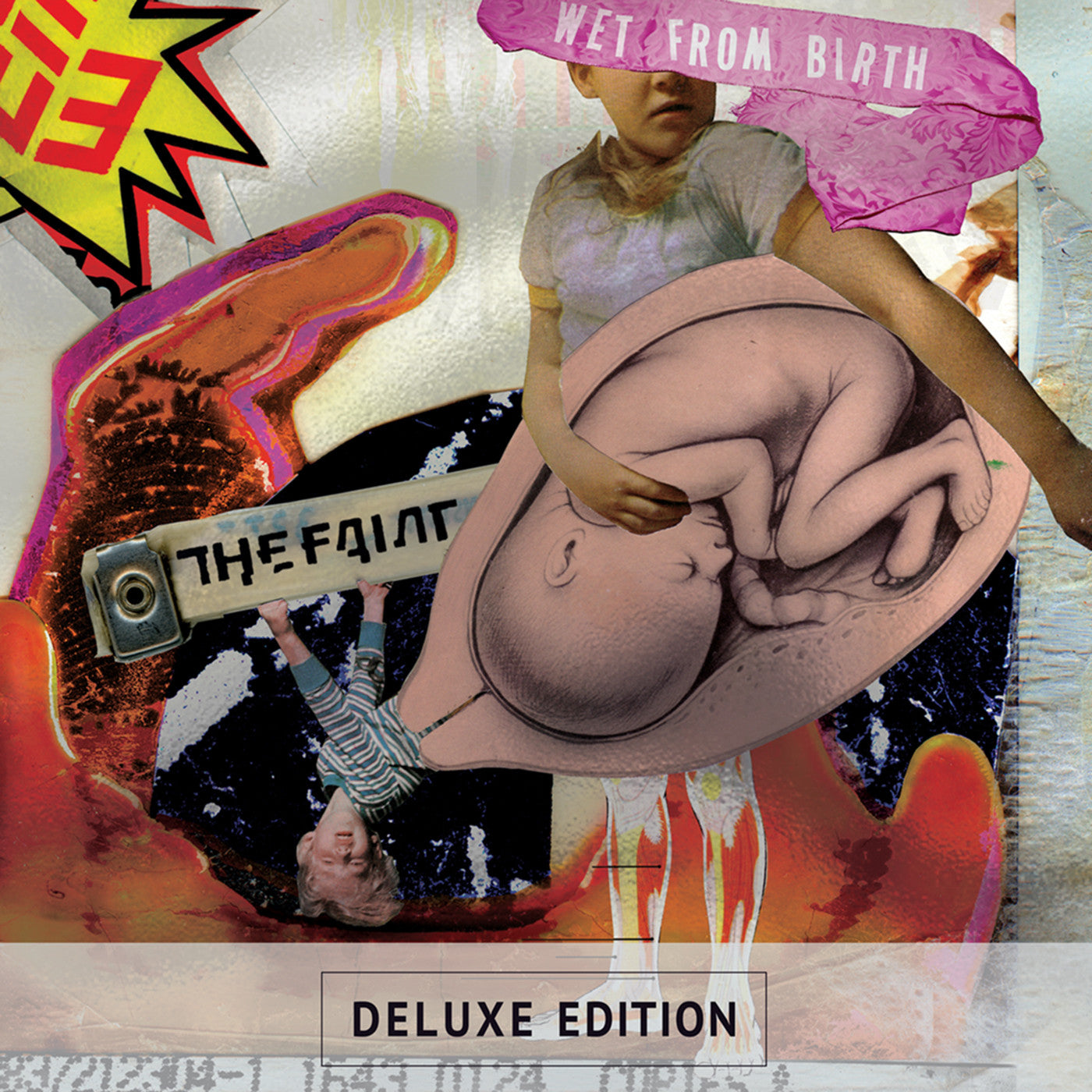 The Faint - Wet From Birth (Deluxe Edition, Transparent 2LP) | Mint (M) Mint (M)-
