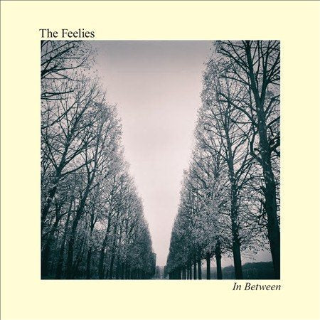 The Feelies - In Between (Digital Download Card) | Mint (M) Mint (M)-