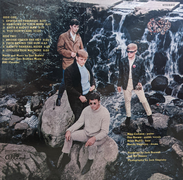 The Plastic Cloud (VINYL) | Mint (M) Mint (M)-