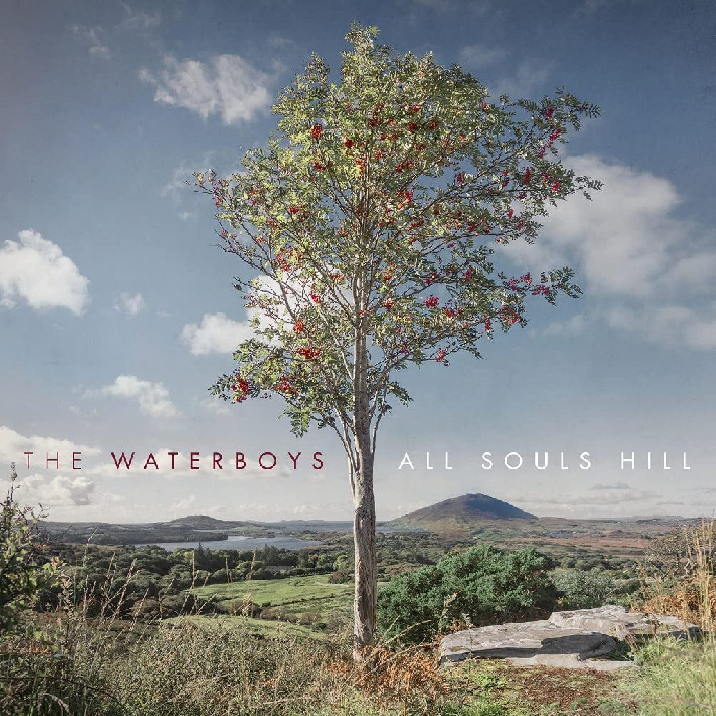 The Waterboys - All Souls Hill (VINYL) | Mint (M) Mint (M)-