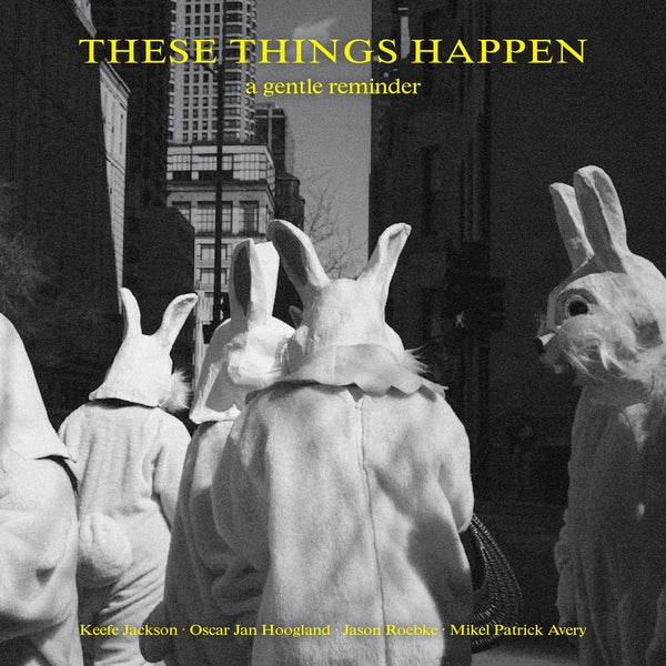 These Things Happen - A Gentle Reminder [LP] |-