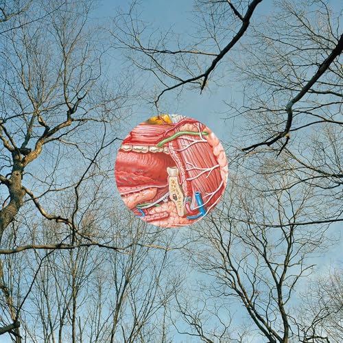 They Might Be Giants - (PRE-ORDER 9/26/25) Glean (RED VINYL) | Mint (M) Mint (M)-