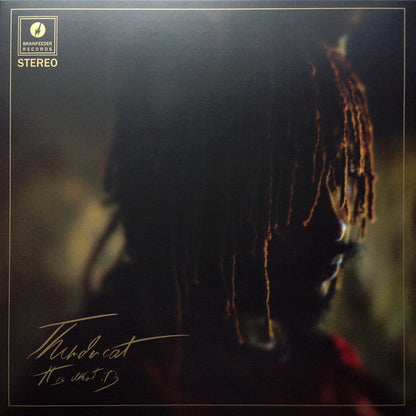 Thundercat - It Is What It Is (RED VINYL) | Mint (M) Mint (M)-