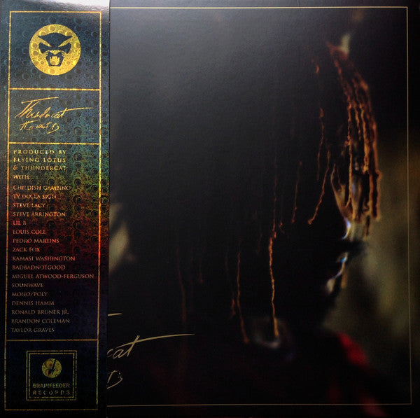 Thundercat - It Is What It Is (RED VINYL) | Mint (M) Mint (M)-