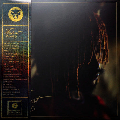 Thundercat - It Is What It Is (RED VINYL) | Mint (M) Mint (M)-